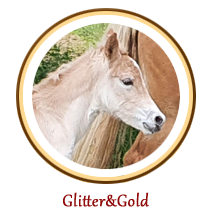 Glitter&Gold - icona